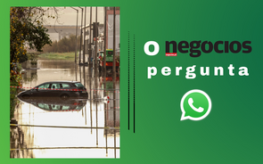 O Negócios pergunta via whatsapp sobre a resposta do Governo à tempestade Kristin