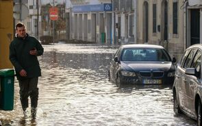Consequências da depressão Leonardo.