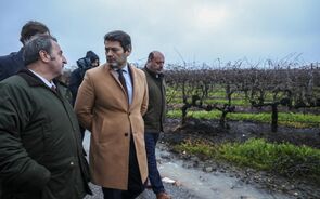 Ventura vai propor adiamento das eleições por uma semana. Alcácer do Sal já fez pedido à CNE