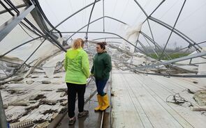 IGF vai fiscalizar PTRR. Tribunal de Contas e PGR terão 'intervenção relevante'