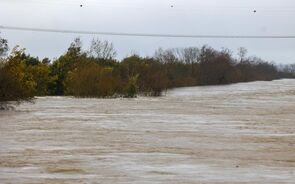 Dique do rio Mondego rebentou junto à A1