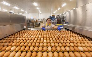 Em fevereiro de 2025, uma caixa com seis ovos custava ao consumidor 1,62 euros