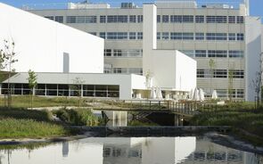 MBA da Porto Business School entra pela primeira vez no top global do Financial Times.