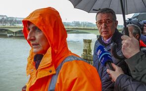 Ana Abrunhosa aponta o dedo ao ministro da Agricultura: 'Até hoje não veio ao terreno'