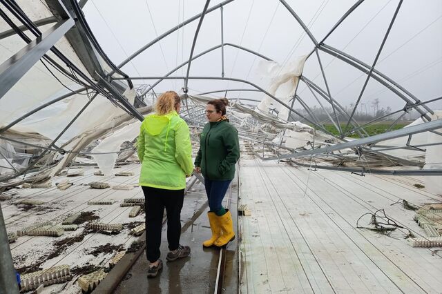 IGF vai fiscalizar PTRR. Tribunal de Contas e PGR terão 'intervenção relevante'