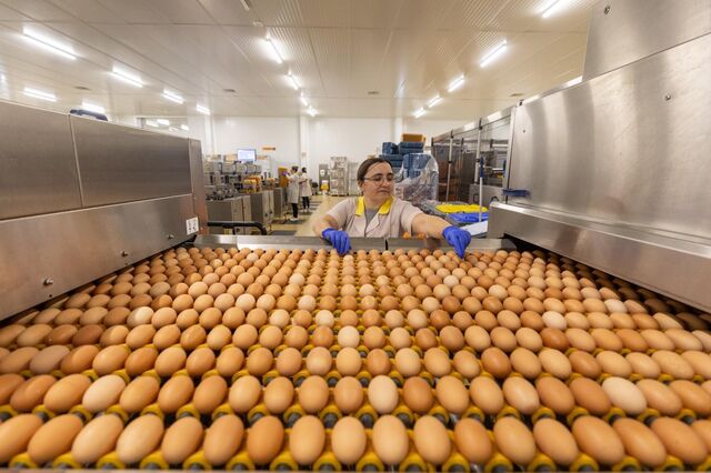 Preço de meia dúzia de ovos aumenta 50 cêntimos em apenas um ano