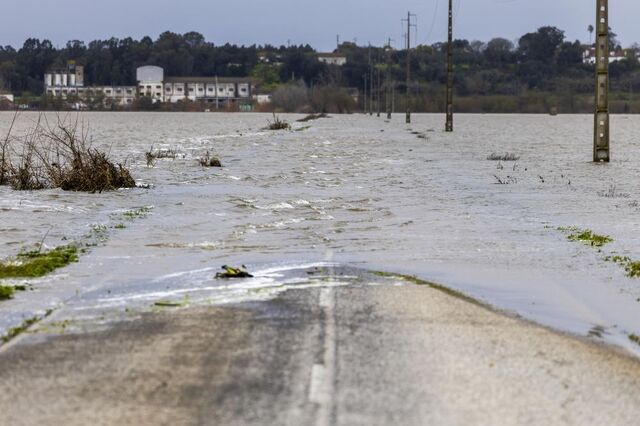 Nível do rio Tejo está a baixar e a deixar à vista rasto de destruição das inundações