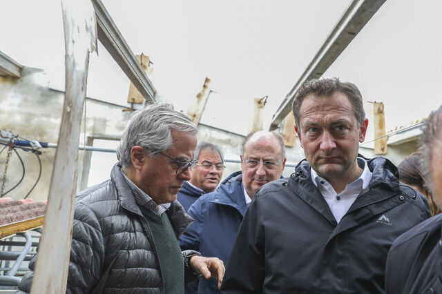 Bruxelas promete resposta rápida e admite que reserva agrícola 'não chega' para dimensão dos estragos em Portugal