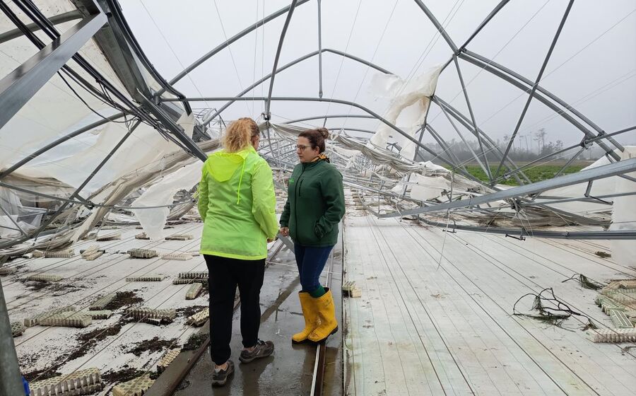Efeitos do mau tempo em Leiria
