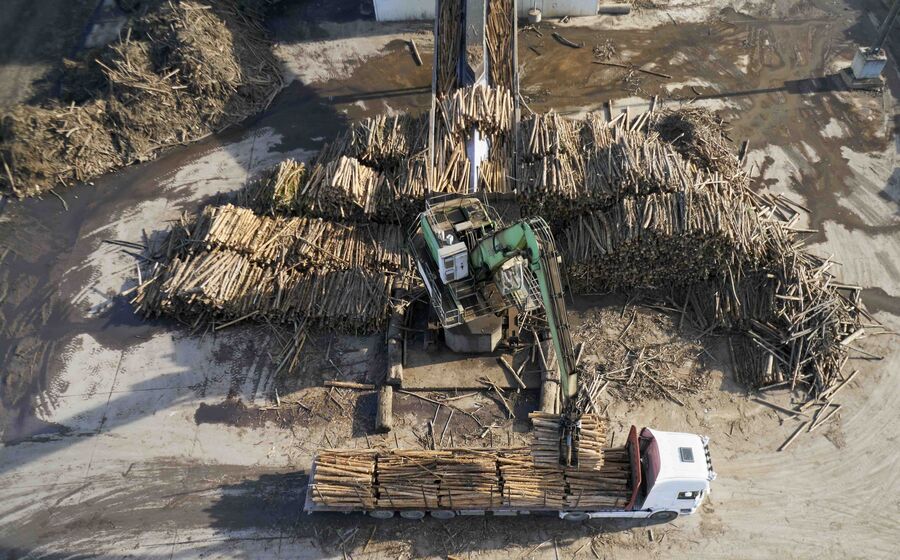 Parque de madeiras Altri