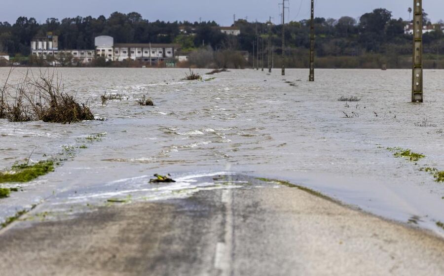 Cheias no rio Tejo provocam destruição