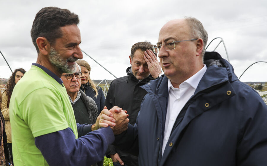 Ministro da Agricultura anunciou linha de 40 milhões para apoiar agricultores após as tempestades.