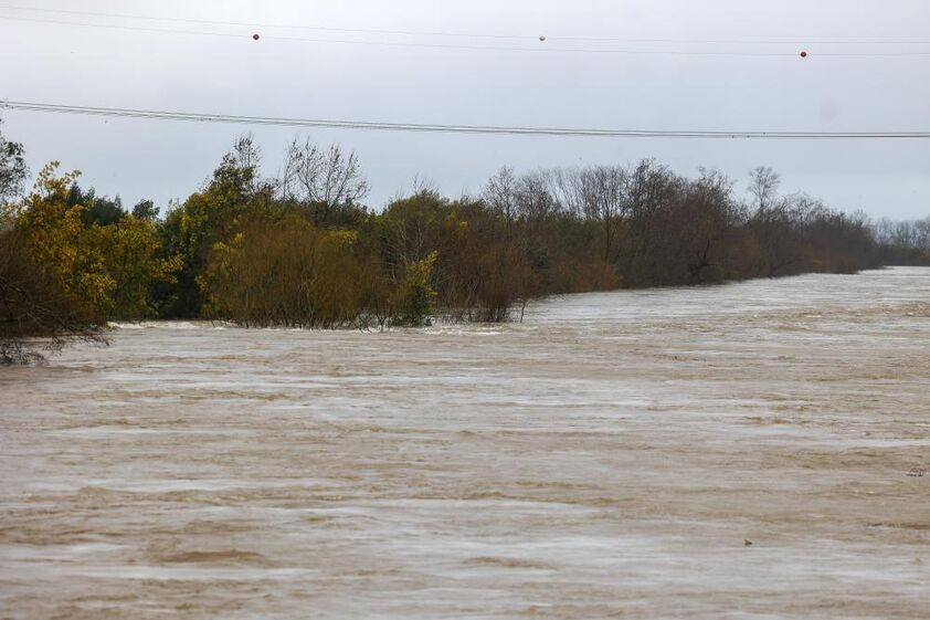 Cheias no rio Mondego