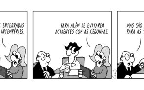 As linhas elétricas subterrâneas protegem cegonhas, mas prejudicam toupeiras