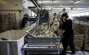 As exportações de bacalhau da Noruega recuaram 1% no ano passado
