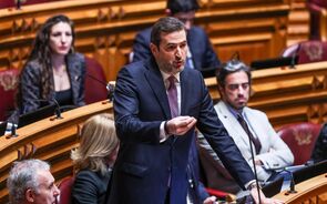 PSD vai “até às últimas consequências” no layoff a 100% se achar que 'há alguma violação da lei”