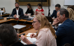 Felicidade Vital, coordenadora do Chega na Comissão de Trabalho, clarificou a posição do partido quanto ao alargamento da possibilidade de não reintegração de trabalhadores despedidos de forma ilícita.