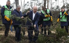 José Manuel Fernandes garante que a negociação será rápida