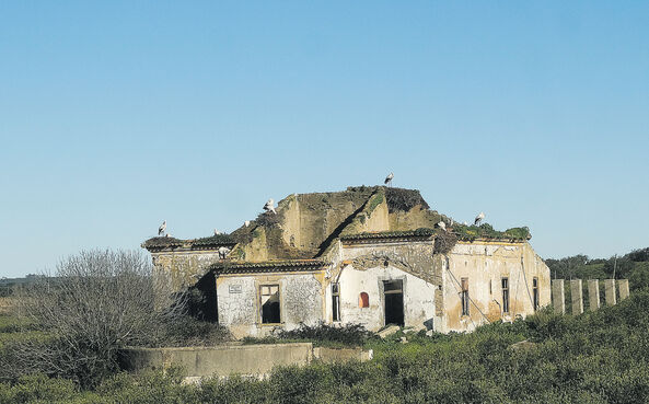 Heranças mal resolvidas acabam muitas vezes por deixar bens ao abandono. 