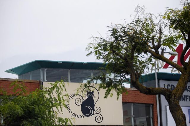 Plano de recuperação da Loja do Gato Preto aprovado com perdão de 40 milhões