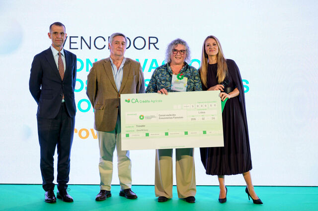 Tecnologia portuguesa acelera reflorestação