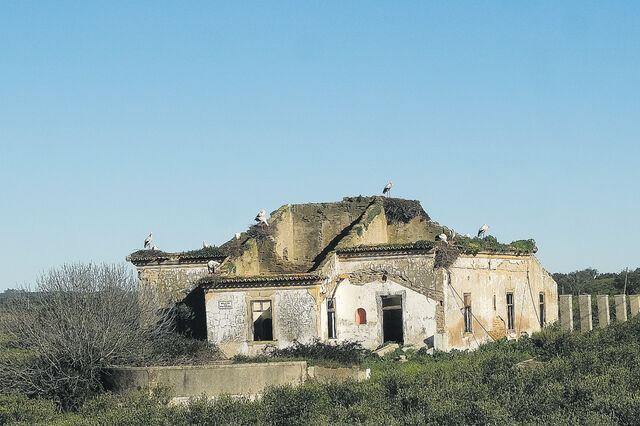 Heranças: Governo quer dar mais liberdade na divisão dos bens entre herdeiros