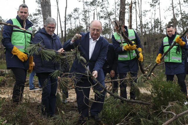 Governo está a avaliar desconto para gasóleo agrícola, revela ministro