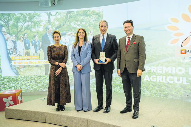 António Rios de Amorim em busca do novo sobreiro