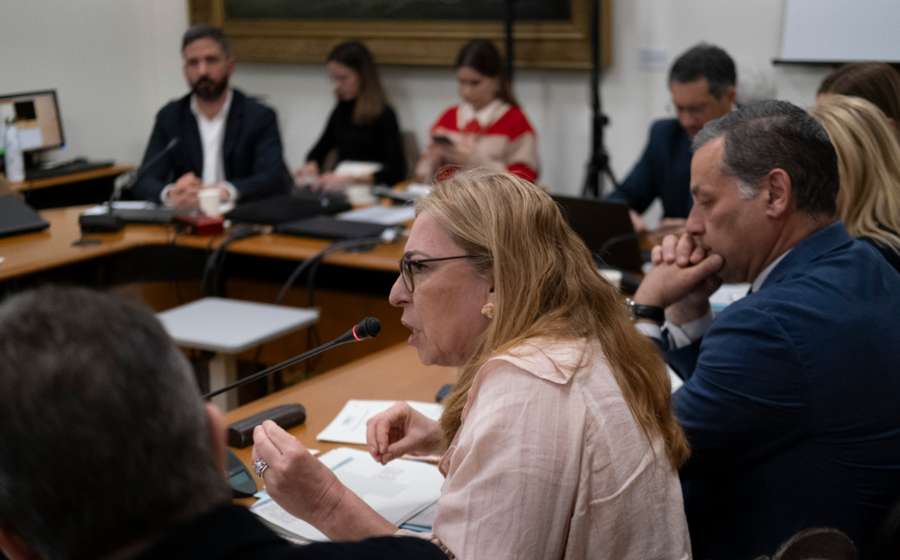 Felicidade Vital, coordenadora do Chega na Comissão de Trabalho, clarificou a posição do partido quanto ao alargamento da possibilidade de não reintegração de trabalhadores despedidos de forma ilícita.