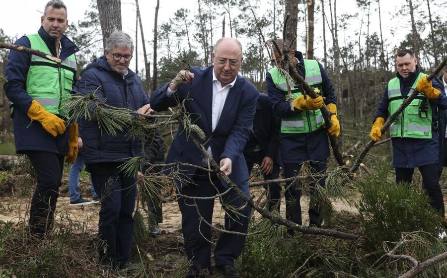 José Manuel Fernandes garante que a negociação será rápida