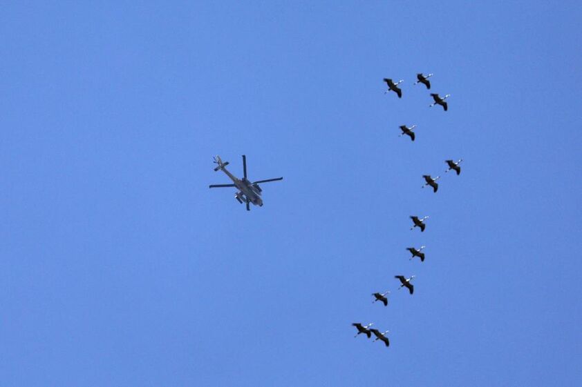 Nova madrugada de fortes ataques nos países do Golfo Pérsico