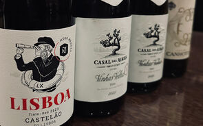 Vinhos Lisboa, Casal das Aires e outros produtores destacam castas portuguesas