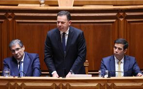 Setor do transporte de mercadorias com contribuições à Segurança Social adiadas por três meses