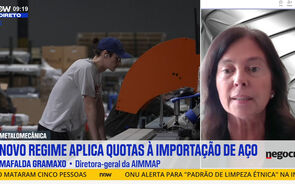 Entrevista a Mafalda Gramaxo.mp4