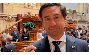 Pedro Frazão garante que os cravos verdes, afinal. são pretos.