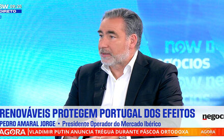 Entrevista a Pedro Amaral Jorge.mp4