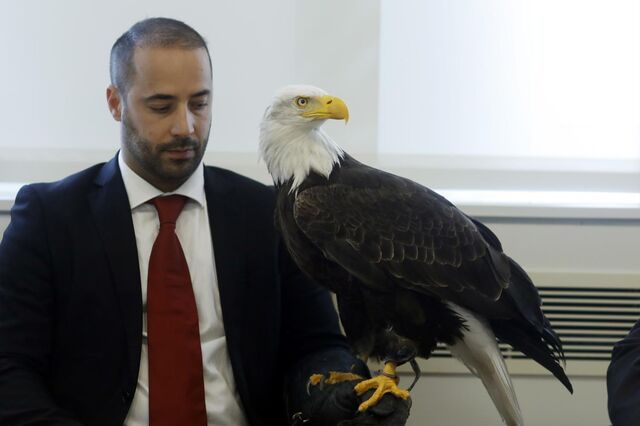 Benfica preferia adeptos, mas fundos dos EUA preparam-se para controlar um quinto da SAD