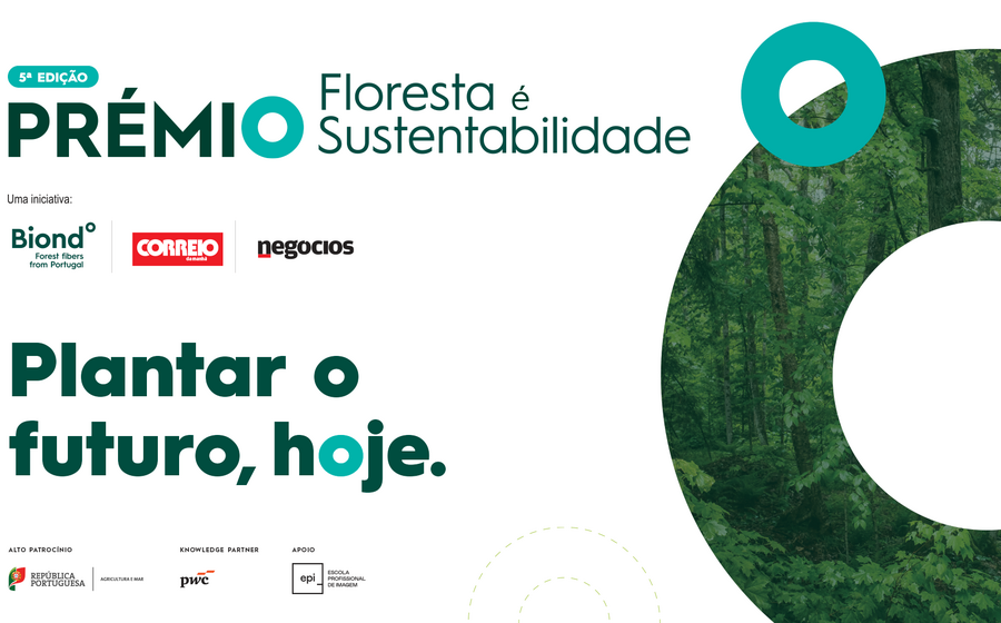 Prémio reconhece sustentabilidade florestal: plantar o futuro, hoje