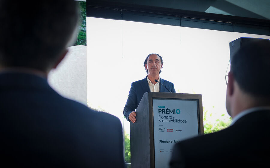 Rui Ladeira defendeu uma resposta rápida à madeira derrubada pelas tempestades e destacou novos instrumentos para apoiar o escoamento, a tesouraria da fileira e a gestão do território. 