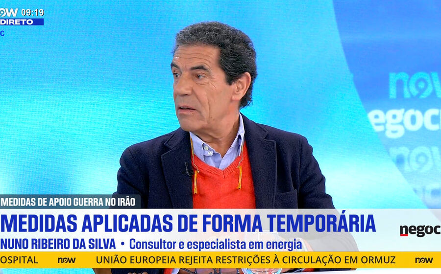 Entrevista a Nuno Ribeiro da Silva.mp4