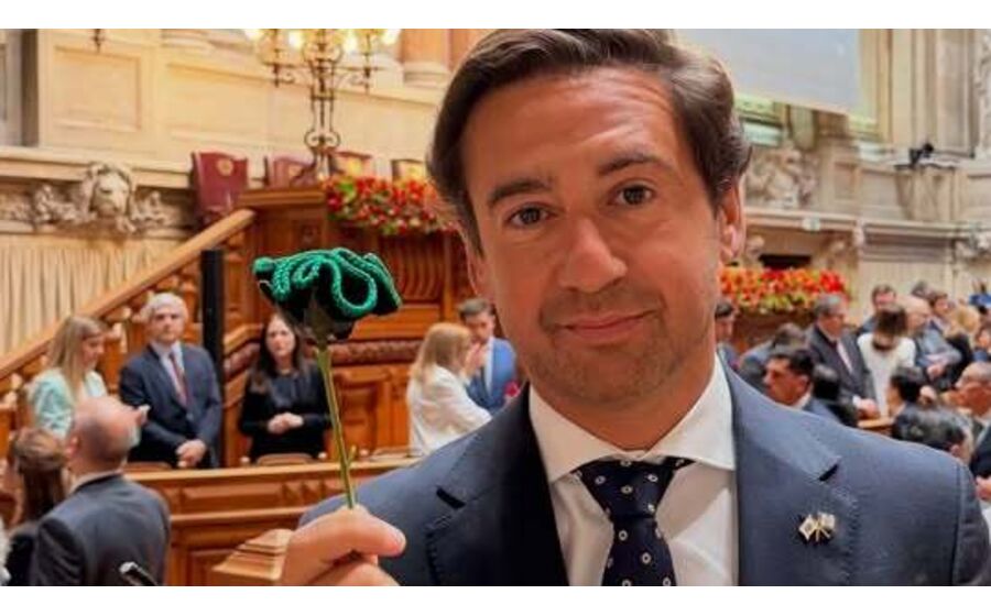 Pedro Frazão garante que os cravos verdes, afinal. são pretos.