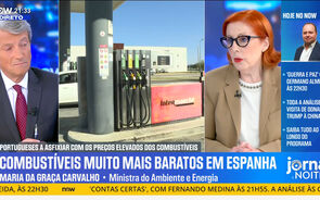 Portugal 'salvo' de cenário de escassez de combustível mas 'jet fuel preocupa', diz ministra do Ambiente