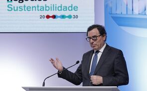 Governo prepara programa para sensibilizar PME para a IA