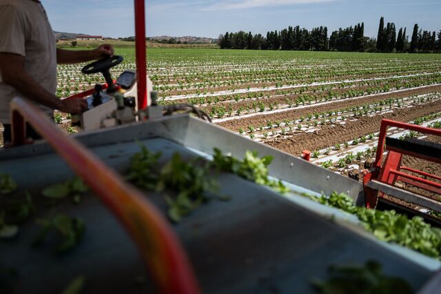 Produzir não chega: o novo mapa da competitividade agroalimentar