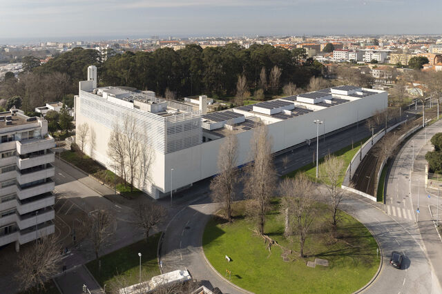 A formação executiva é uma decisão estratégica 