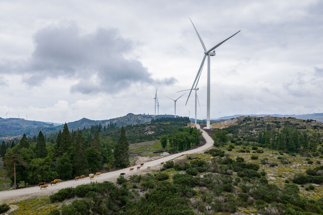 Iberdrola liga primeiro projeto híbrido eólico-hídrico da Península Ibérica em Portugal