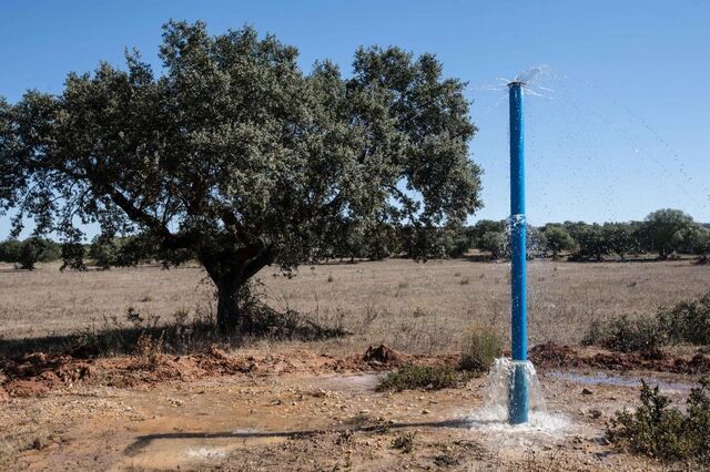 Agência do Ambiente levanta parcialmente restrições a novos 'furos' de água