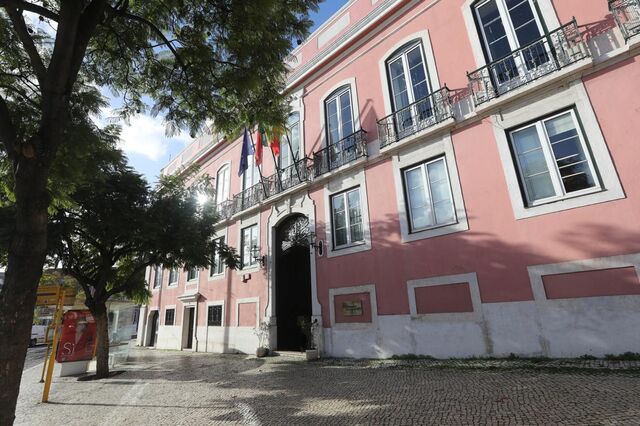 Socialista Miguel Coelho suspende mandato de deputado municipal em Lisboa