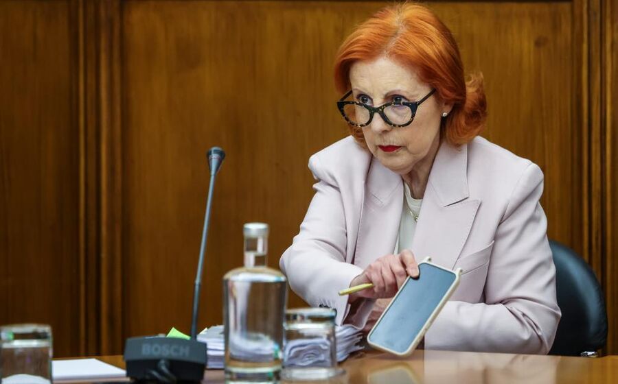 Ministra do Ambiente no Parlamento