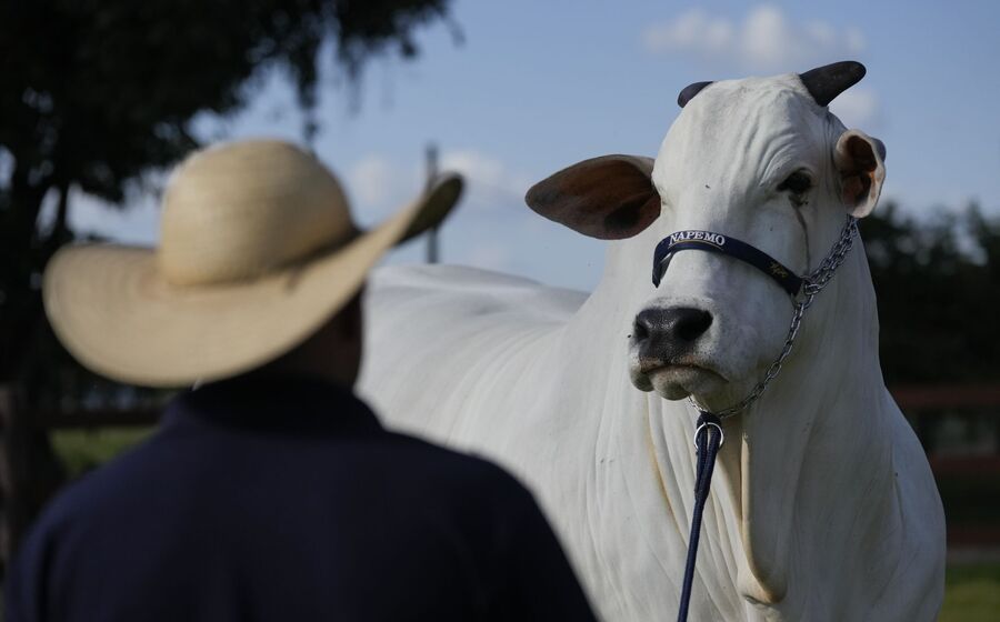 Medida afeta bovinos, equinos, aves de capoeira, ovos, aquicultura, mel e invólucros